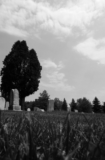 Victim's View